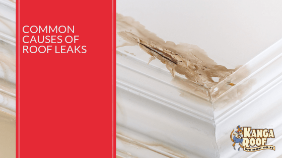 Common Causes of Roof Leaks | Kanga Roof Austin
