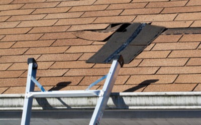5 REASONS WHY ROOF REPAIR SHOULD BE YOUR TOP HOME IMPROVEMENT PRIORITY