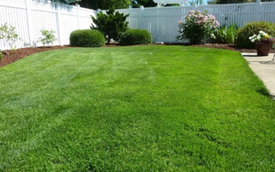 How to Spruce Up Your Lawn for Spring
