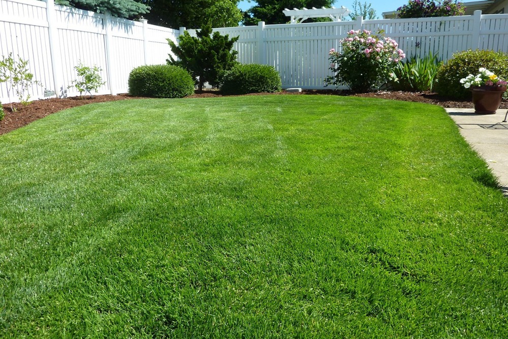 How to Spruce Up Your Lawn for Spring